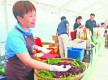 大陳：百年市集激活共富新引擎
