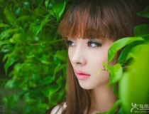 ˸