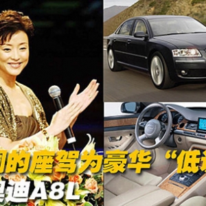 女富豪楊瀾座駕解密