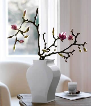 e»ƿ?gu)c(din)c(din)G