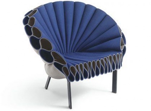 OӋ Dror Peacock