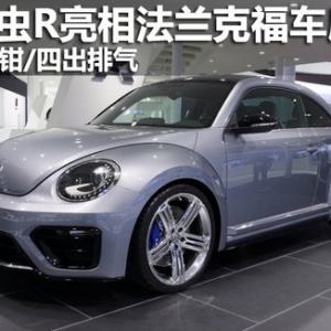 甲殼蟲R亮相法蘭克福