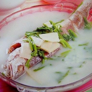 冬筍雪菜黃魚湯—肺結(jié)核食譜