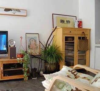 綠植物語 文藝女青年的75平自然家