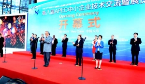 ڰˌAPECСI(y)g(sh)չ[_Ļ