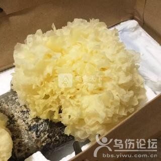 雪梨枸杞銀耳羹的做法步驟：1