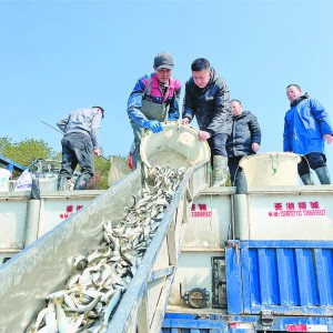 x_(ki)չ?ji)OI(y)YԴֳ(dng)