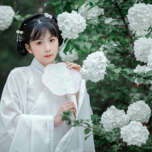 氣質淡雅端莊的大家閨秀唯美古風圖片