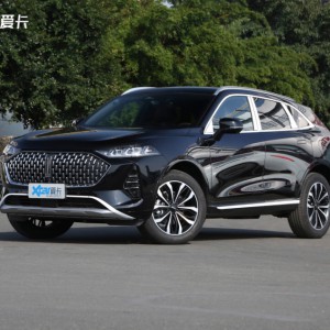 魏牌推出全新大六座SUV 年內上市