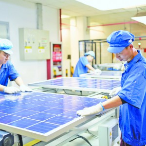 ^鮓P(yng)  _(ki)չ(jng)(j)(wn)M(jn)|(zh)(jin)Є(dng)C