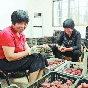 ǽֵeO䌍Ŀ ׌r(nng)ڼT،N·