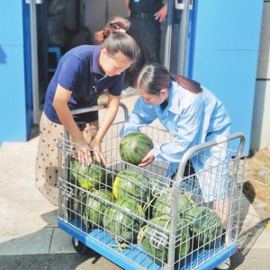 ɽ_(sh)  ͰɽN(xio)