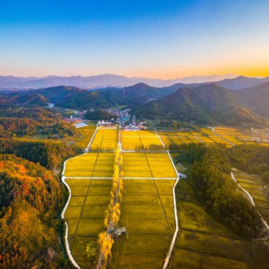 xз(zhn)¿ڴ1000஀ߘ(bio)(zhn)r(nng)(ni)SһƬ