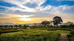 Їr(nng)ʮ(qing)hxŵڶ²µһ