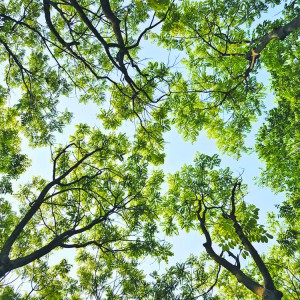 ֲ九(ji)  һƬG~һݜܰ